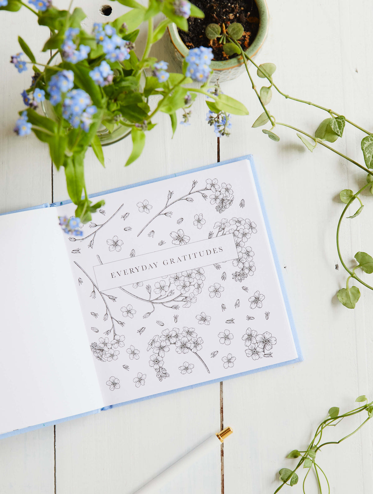 Everyday Gratitudes. Slightly Imperfect