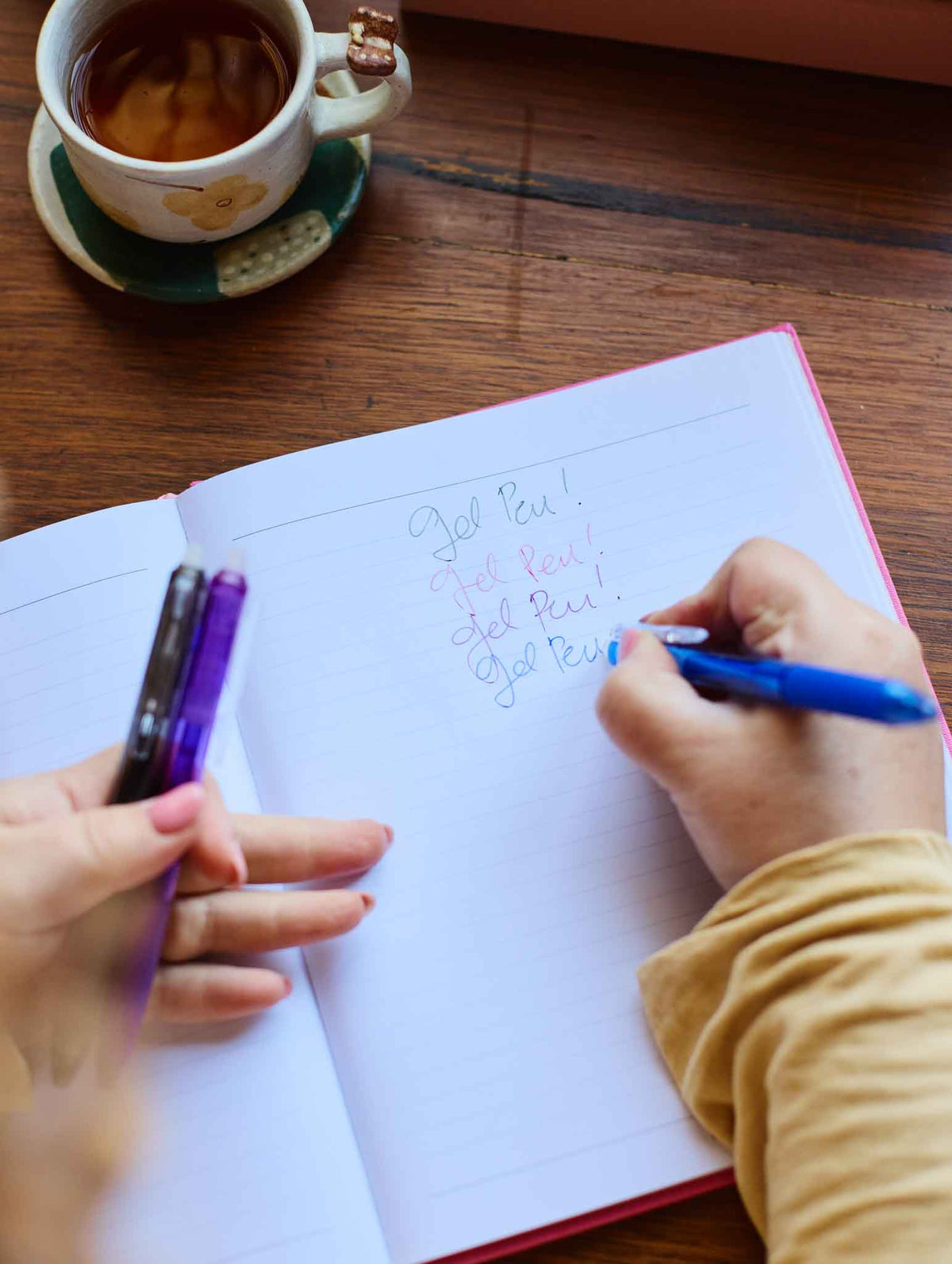 Pen Bundle. Gel + Erasable Pack. Preorder