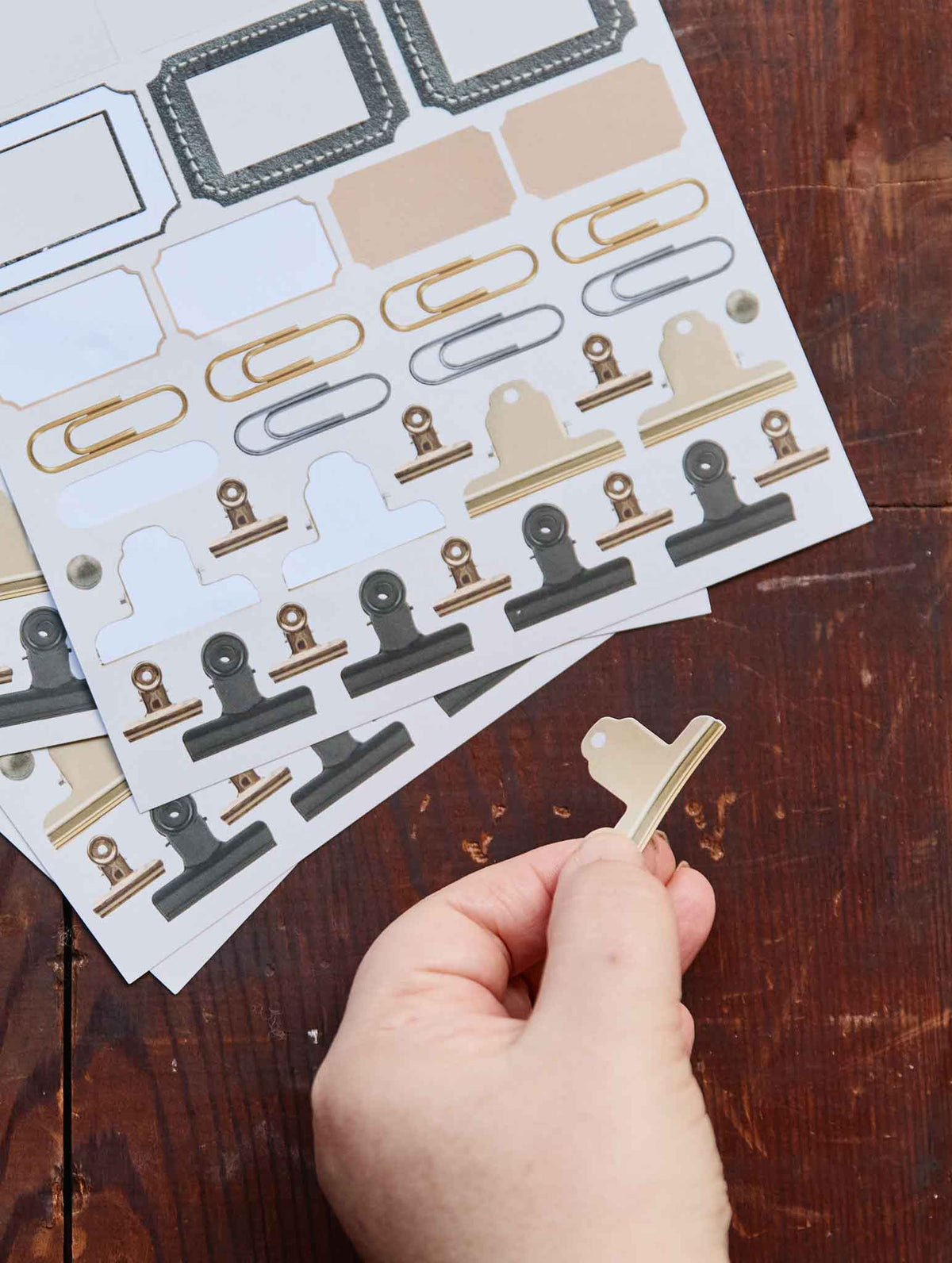 Photo Album Sticker Bundle Pack. Preorder