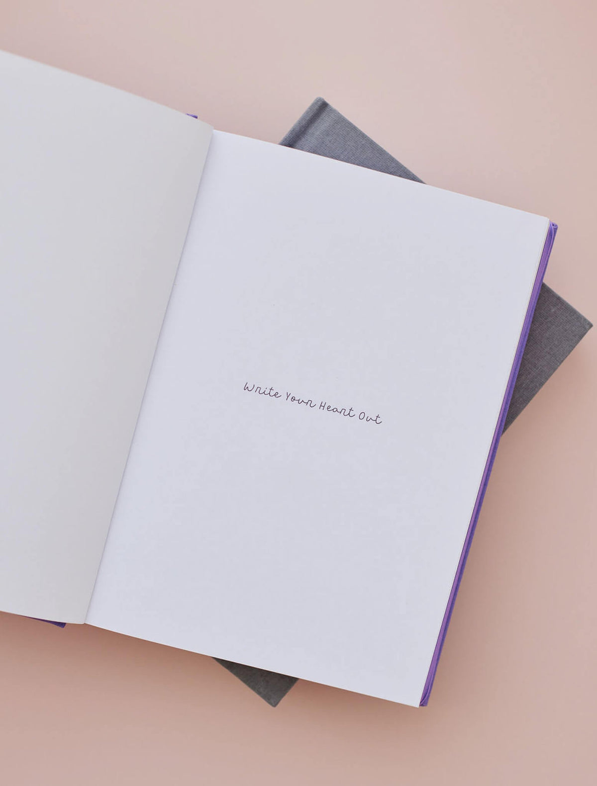 2025 Weekly Planner In My Lane + Open Book Violet Bundle + FREE PEN PACK!