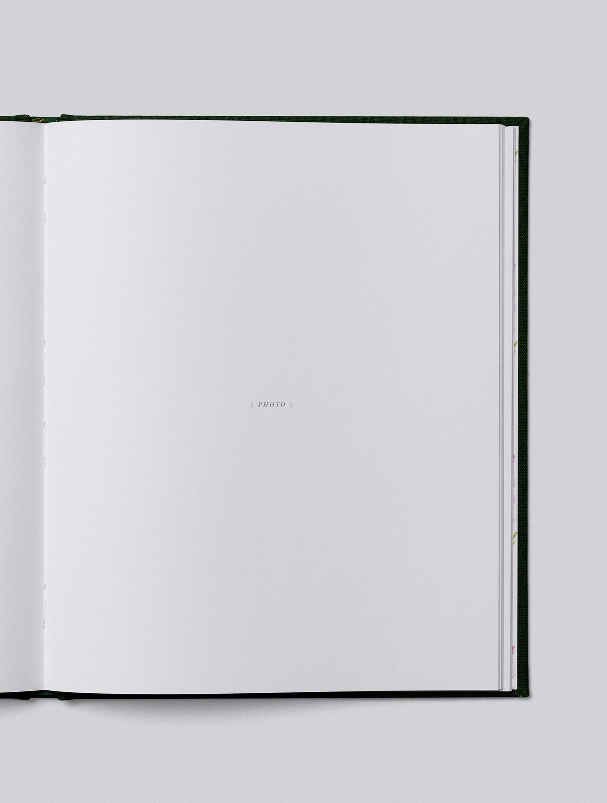 Grandparent Journal Bundle. 60% Off